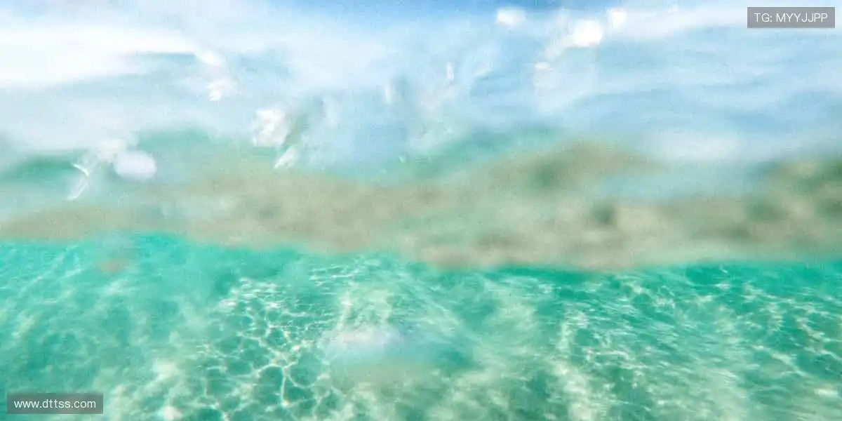 ⚽️赛事预告,提前锁定!📅